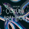 Ege - Çözüm Aramıyom (feat. BFC) - Single